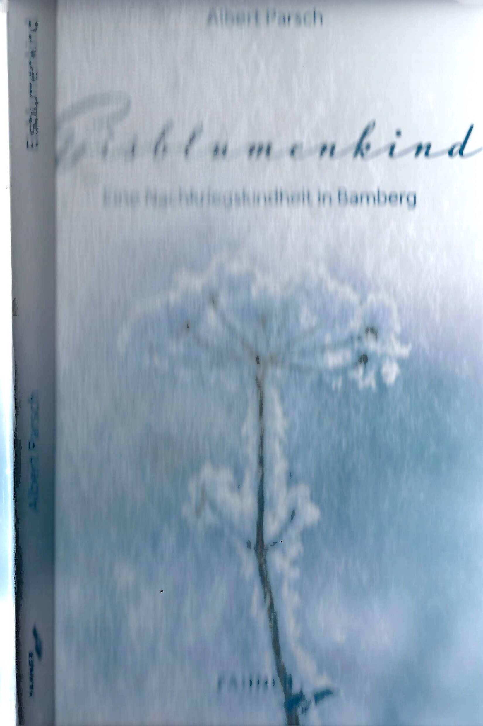 Eisblumenkind – Buchcover von Albert Parsch, Fahner Verlag